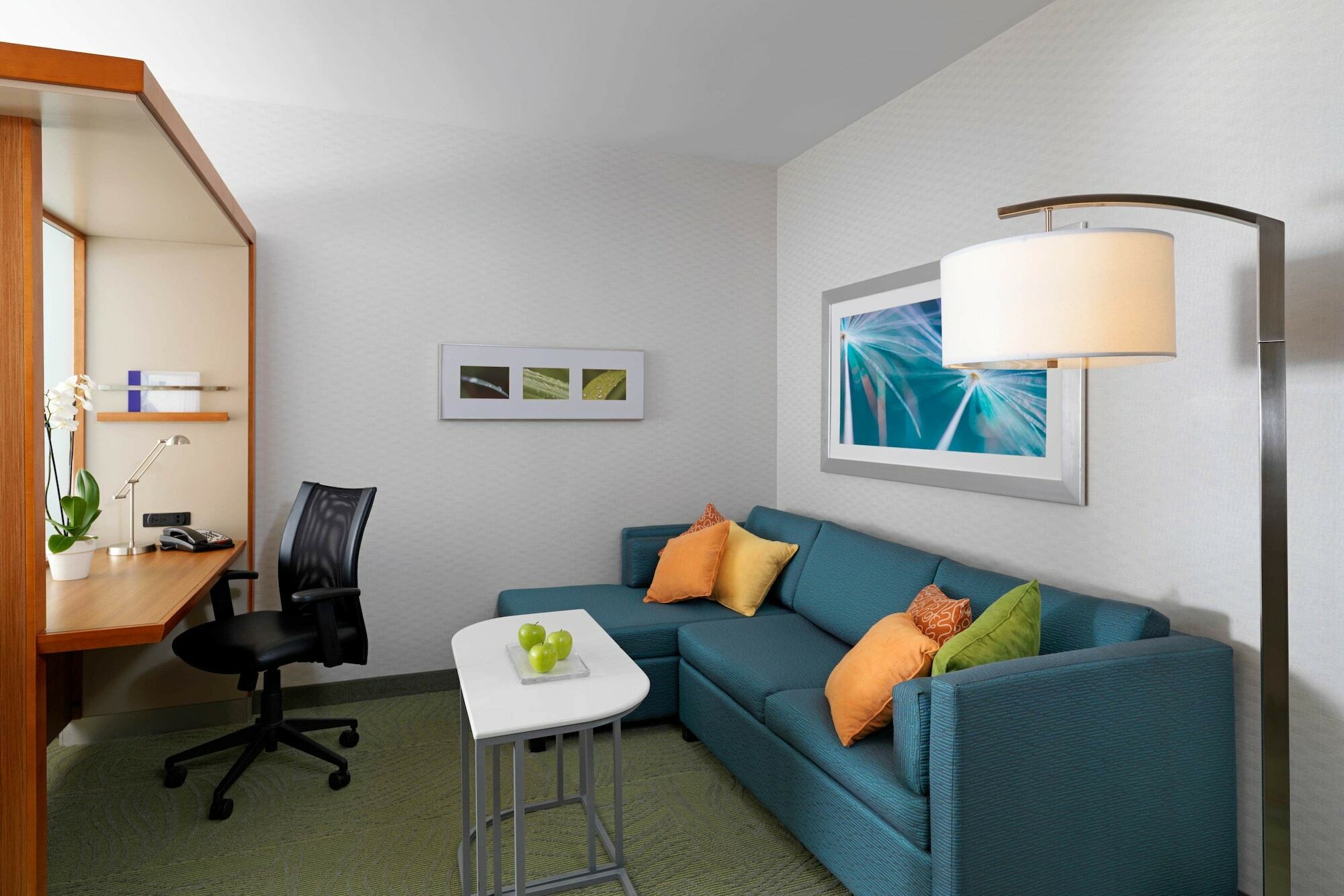 Springhill Suites By Marriott Kansas City Lenexa/City Center Exterior photo
